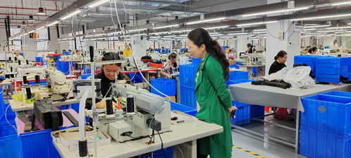 藍(lán)山委員提案助推產(chǎn)業(yè)大發(fā)展，央廣網(wǎng)聚焦社會(huì)經(jīng)濟(jì)咨詢服務(wù)